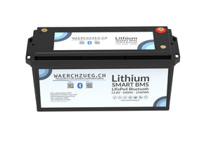 200Ah Lithium LiFePo4 Batterie, 12V, inkl. BMS und Hauptschalter sowie Bluetooth