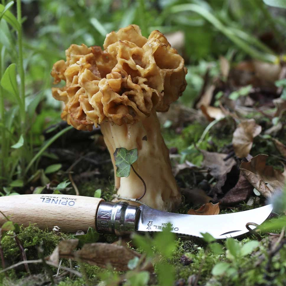 Opinel N°08 Pilzmesser, Bürste am Griffende