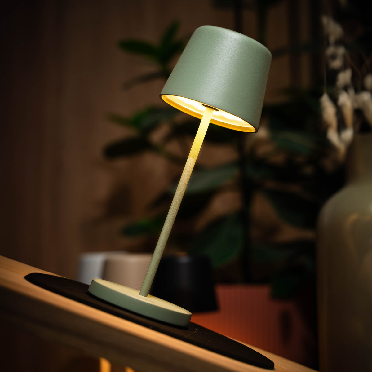 Luce magnetica Silwy MONACO VERDE OLIVA con tovaglietta, vari colori
