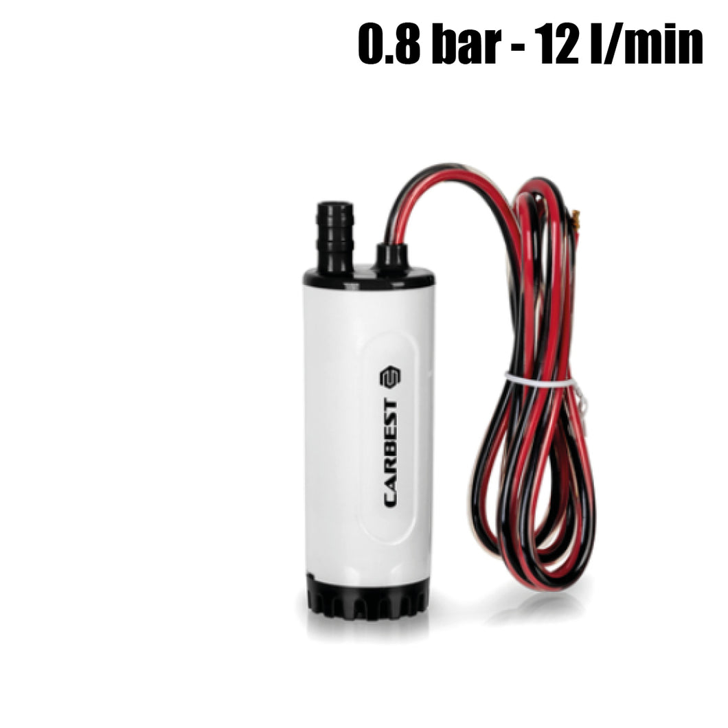 Tauchpumpe mit Rohrstutzenanschluss für Schlauch Innen-Ø 10mm, 12L /min