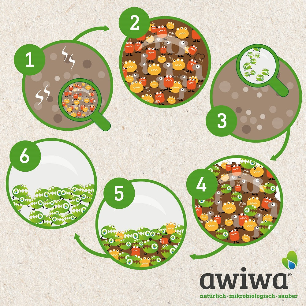 Awiwa Flush Mikrobiologie Detail