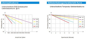 300Ah Lithium Batterie LiFePo4, inkl. Bluetooth und BMS