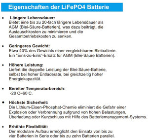 300Ah Lithium Batterie LiFePo4, inkl. Bluetooth und BMS