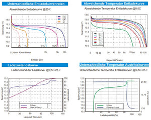 300Ah Lithium Batterie LiFePo4, inkl. Bluetooth und BMS