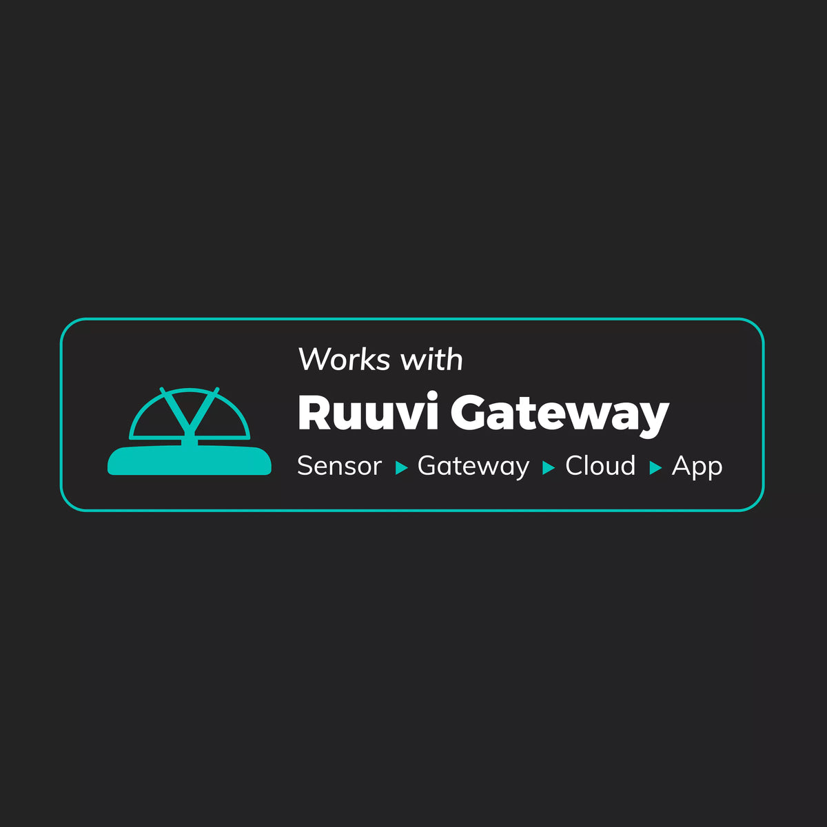 RuuviTag Sensor (4in1)