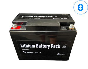 55Ah Lithium Batterie LiFePo4, inkl. Bluetooth und BMS